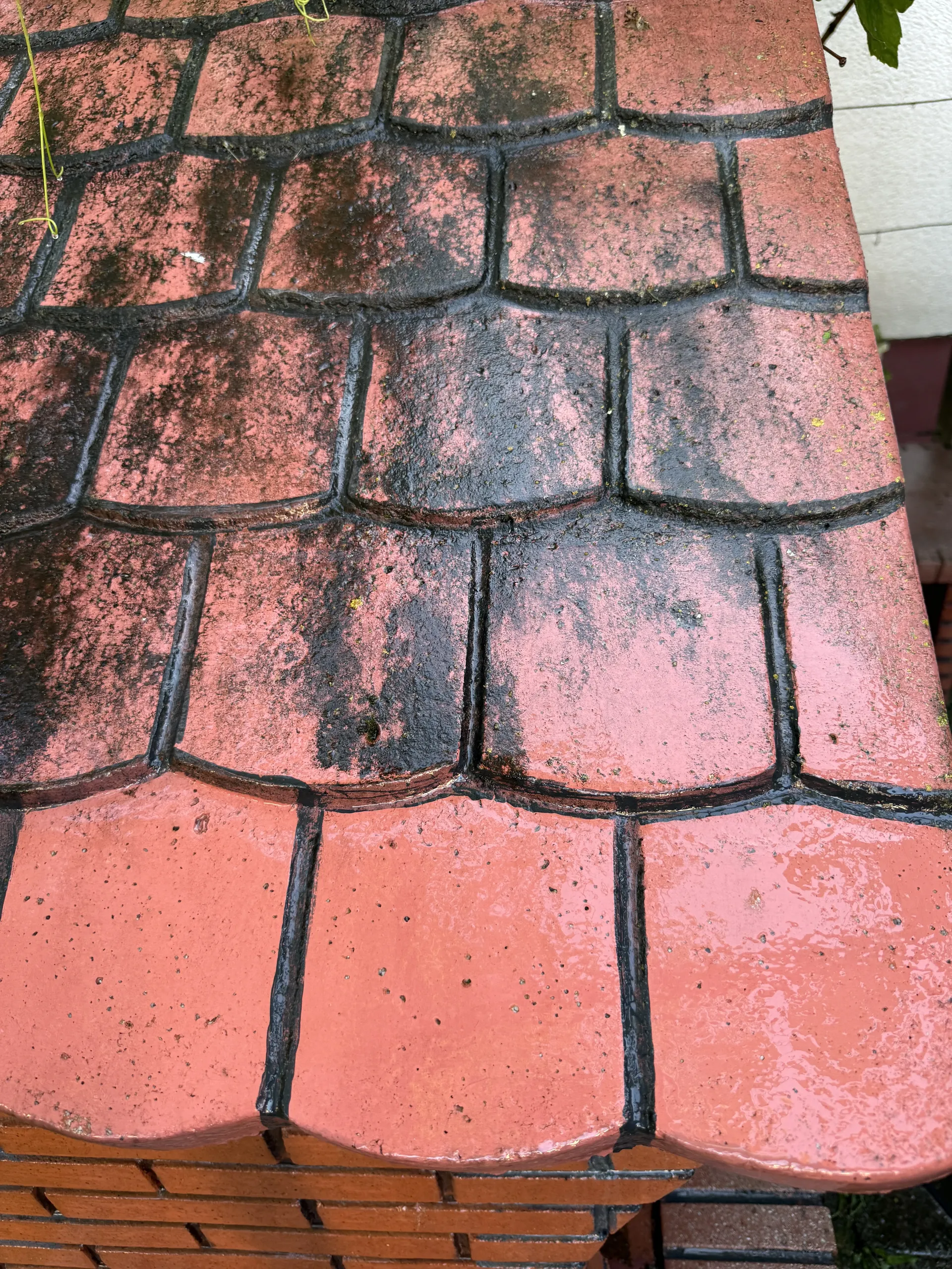 Streha pred čiščenjem