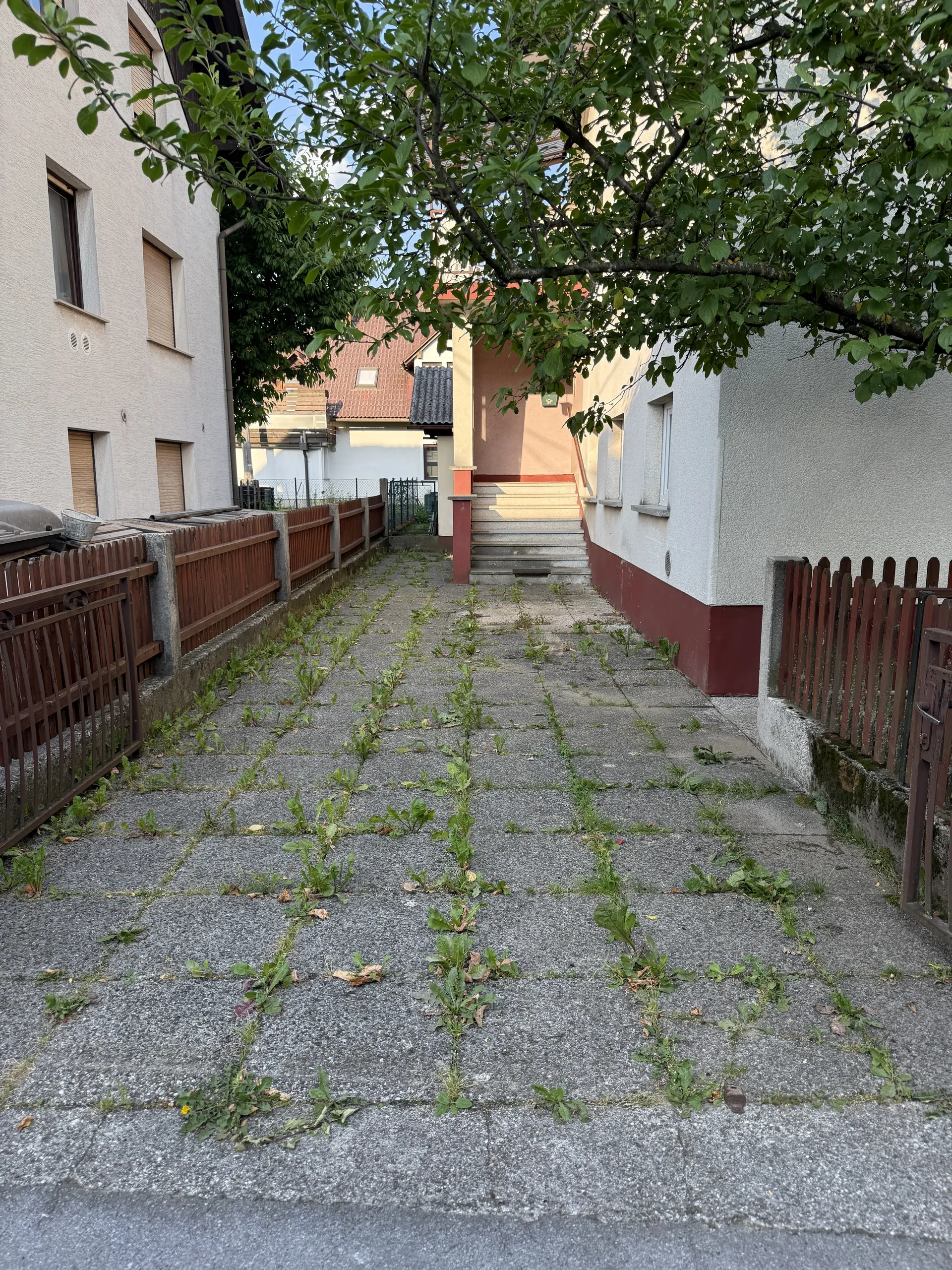 Tlakovci pred čiščenjem